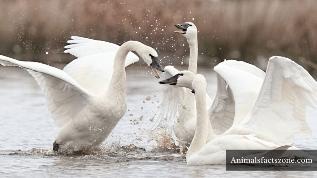 most friendly animal