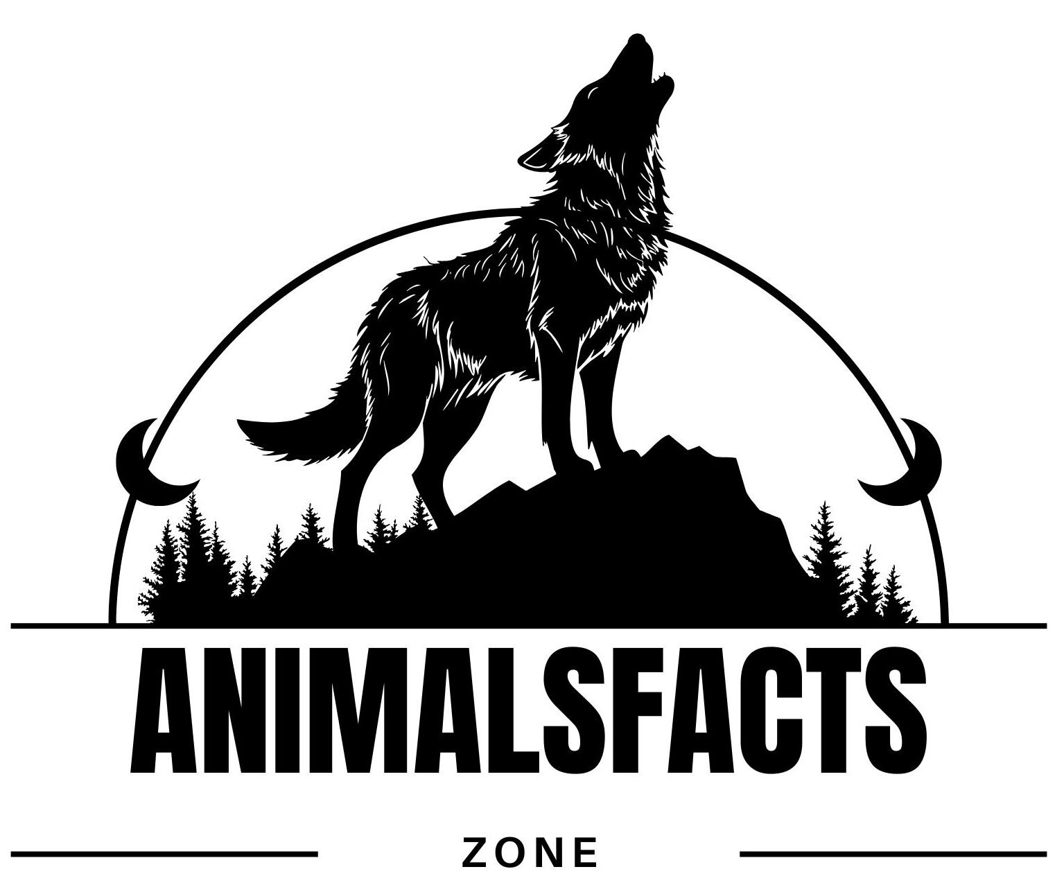 Animalsfactszone