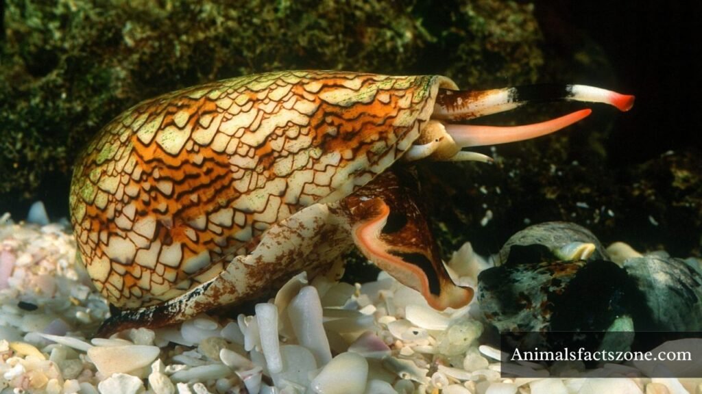 creepy looking animals