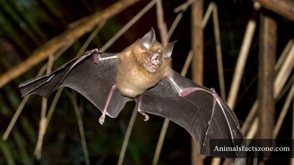 the most scariest animal