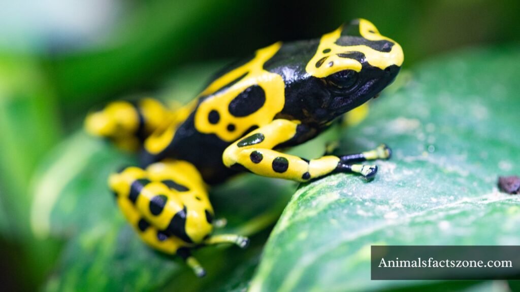 scary creepy animals