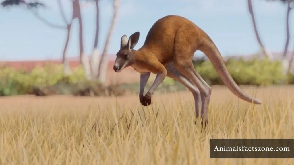 long legged creature