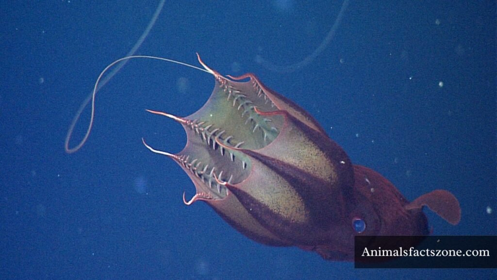 what is the scariest animal