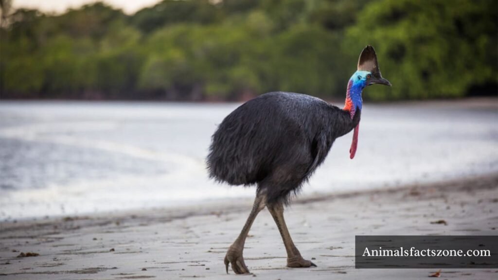 bird with long legs and long neck